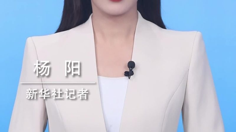 数据中台：构建高效数据治理的基石**